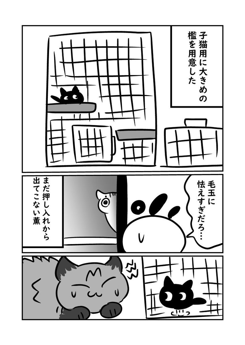 (4/8) 子猫に逃げ惑う上二匹です 