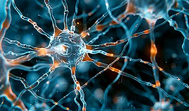 Nanoappsm's tweet photo. Neural Vulnerabilities and Resilience in Alzheimer’s Explored 

https://t.co/EcxcXldJdW 

cc. @tantriclens @HeinzVHoenen @cellrepair777 https://t.co/BHFrC0Iriy
