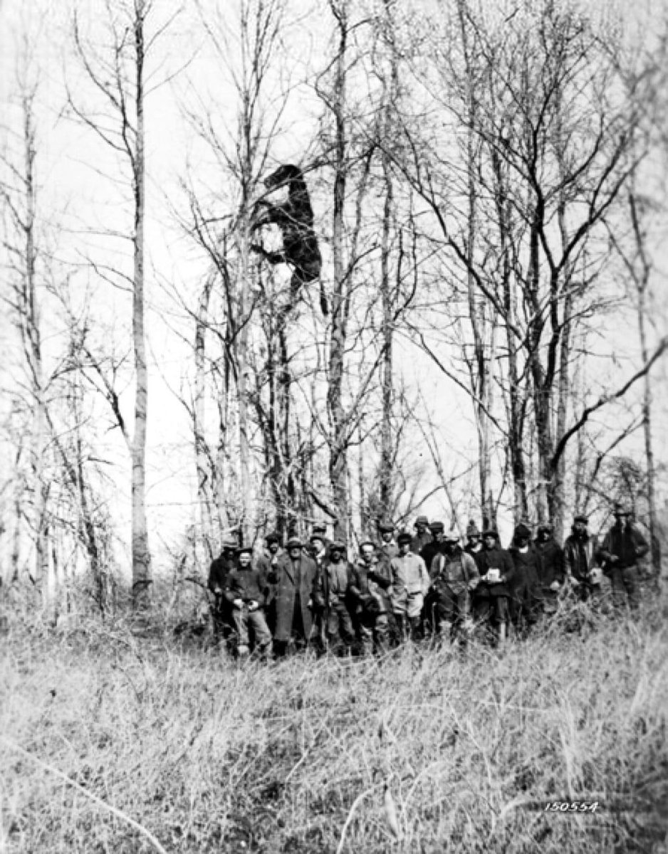 venik44's tweet photo. A horse in a tree after a storm in Louisville, Kentucky, 1937.
#HistoricalPhotos #Louisville #Kentucky #1937 #UnusualEvents #StormAftermath https://t.co/lNNJ6wZkyy