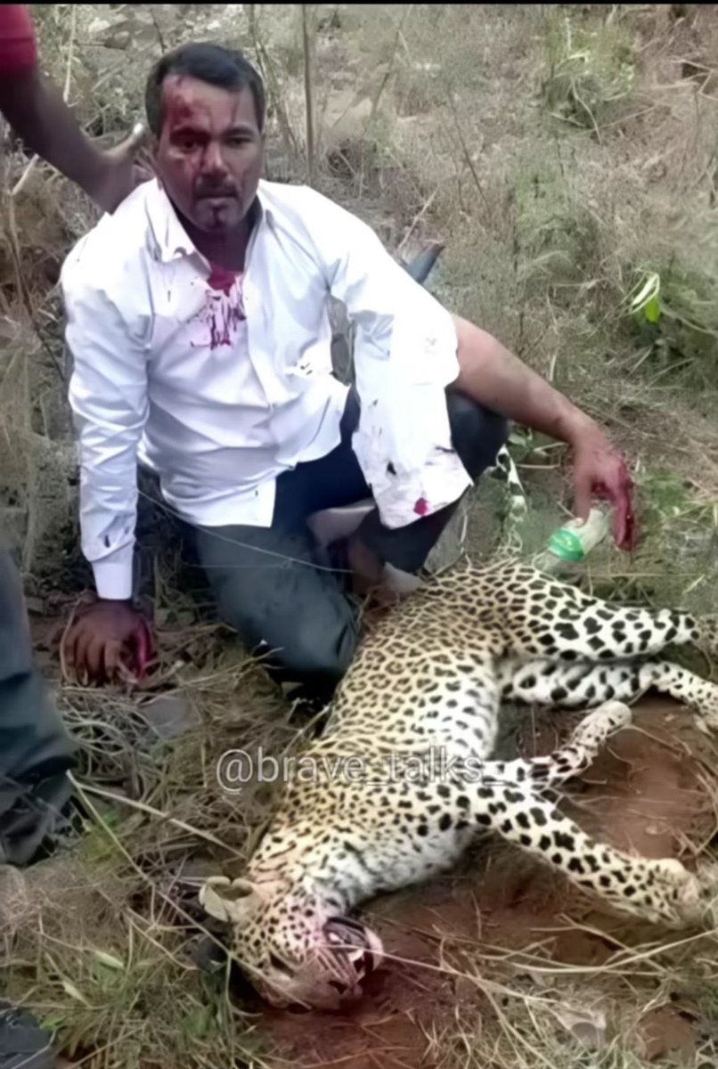 BollywoodArvind's tweet photo. Leopard attacks his daughter
-He comes to the rescue
-KiIIs leopard with bare hands
Not a textbook hero, but a real brave 👑
#Bravery #Father #Daughter #FatherdaughtersLove #Love #Family #DadsLove #LoveForDaughter https://t.co/MkwqahRcL8
