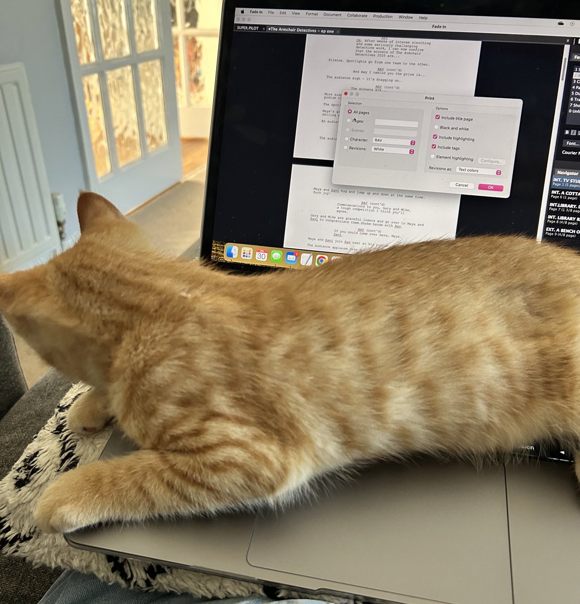 Thanks so much for your help with my script! She says no notes! 😂