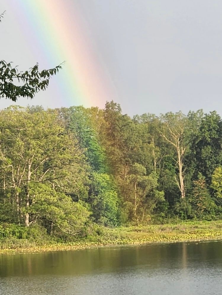JeffPorterWX's tweet image. Savannah Draper, #Portage
Stephanie Walker (and Baylee!)
Dustin Dye, #Delton 
wwmt.com/chimein

🌈🌈🌈🌈🌈🌈🌈🌈🌈🌈🌈🌈🌈🌈🌈🌈🌈🌈🌈🌈🌈🌈🌈🌈🌈🌈🌈🌈🌈🌈🌈🌈🌈🌈🌈🌈🌈🌈🌈🌈🌈🌈🌈🌈🌈🌈🌈🌈🌈🌈🌈🌈🌈🌈🌈🌈🌈🌈🌈🌈