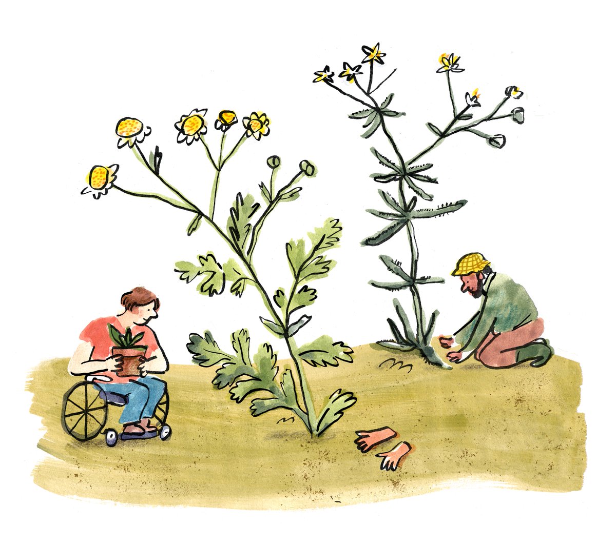 Another from COAM 💚 always so exciting to see my illustrations out in the world!
