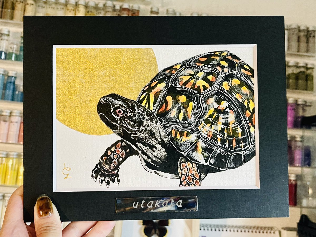 #ブラックガルフ 🌝