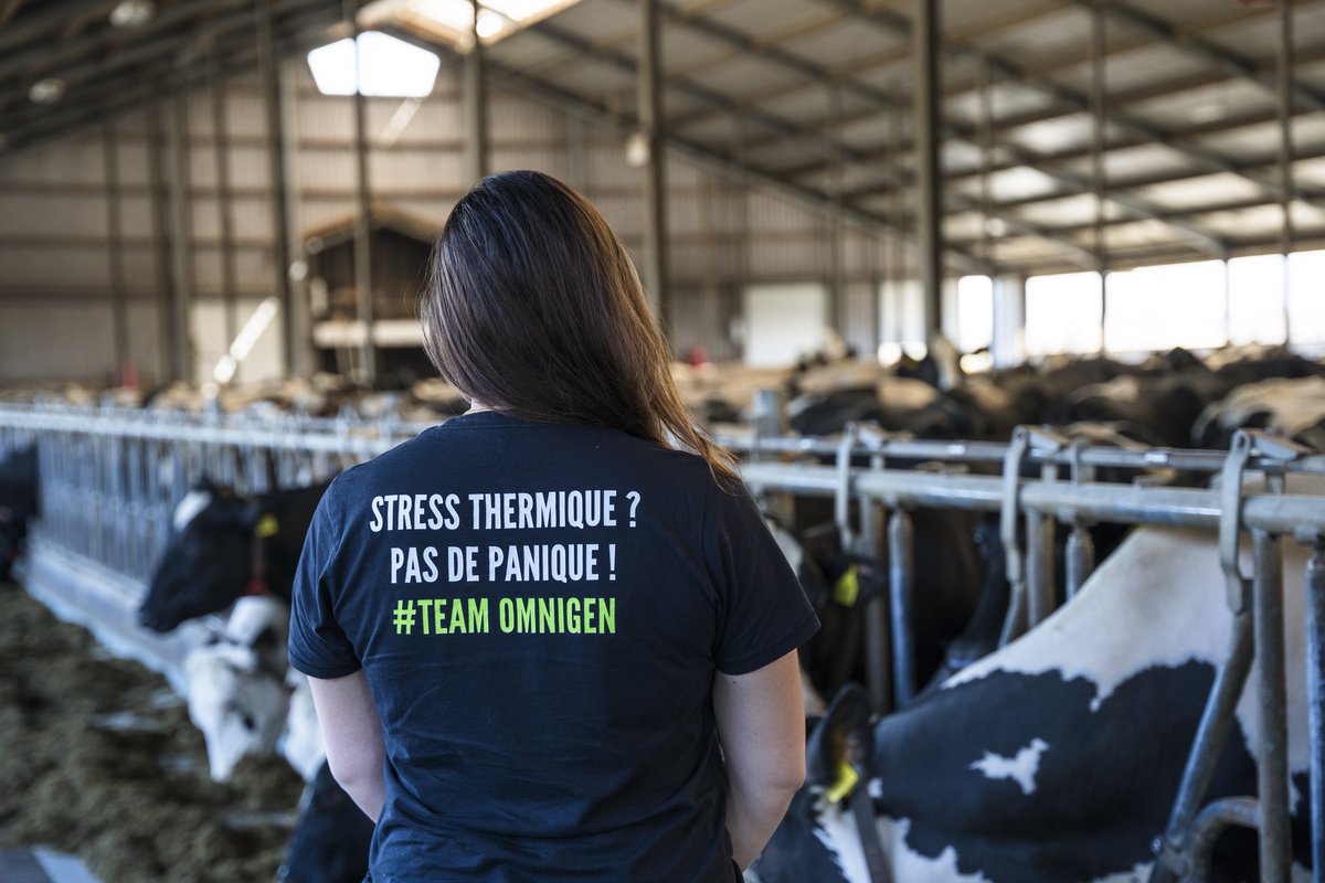 PaulRevet's tweet photo. @blanche_dpt Je trouve que tu le fais très bien! 😊 #teamomnigen 
Et en plus, il y a au moins 15 ans de preuve sur les effets. C'est pas Papi fait de la résistance, mais Papi OmniGen aide à la résistance 😁😁 https://t.co/67e08VRS4V
