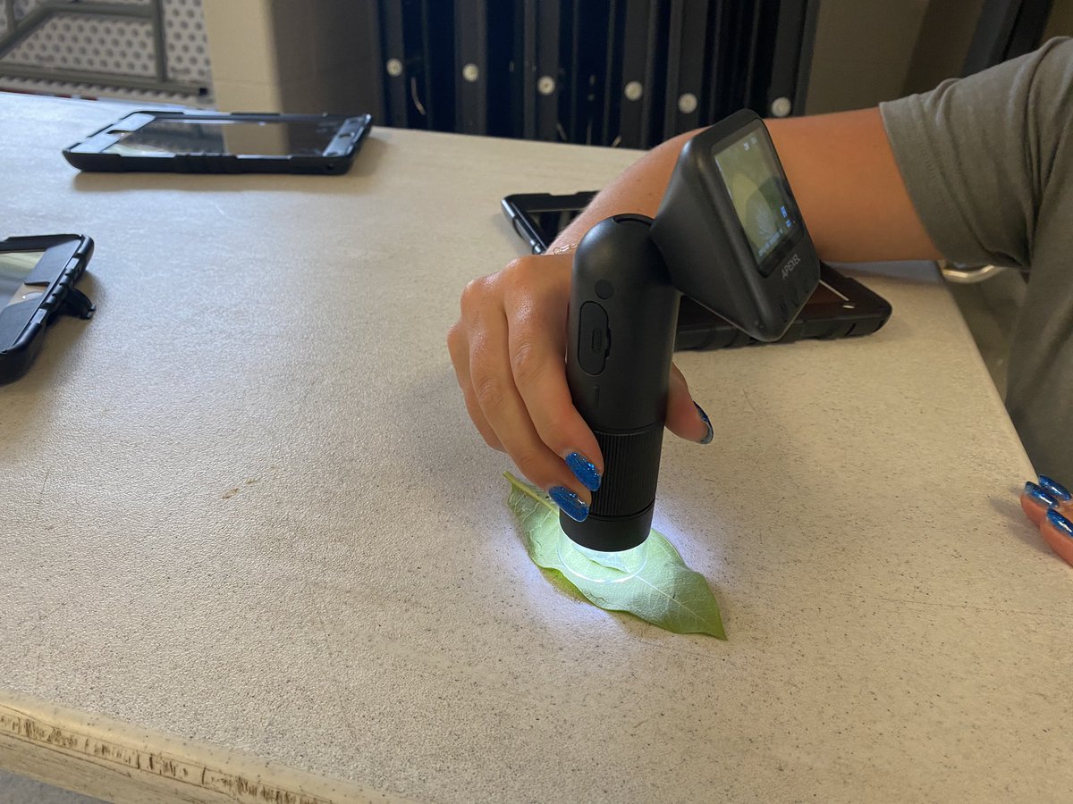 Waterville Primary tweet media