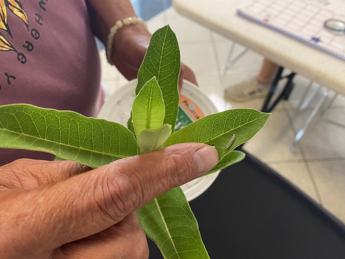 Waterville Primary tweet media