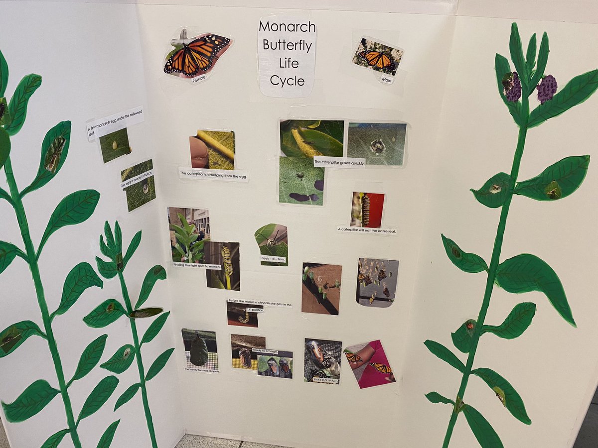 Waterville Primary tweet media