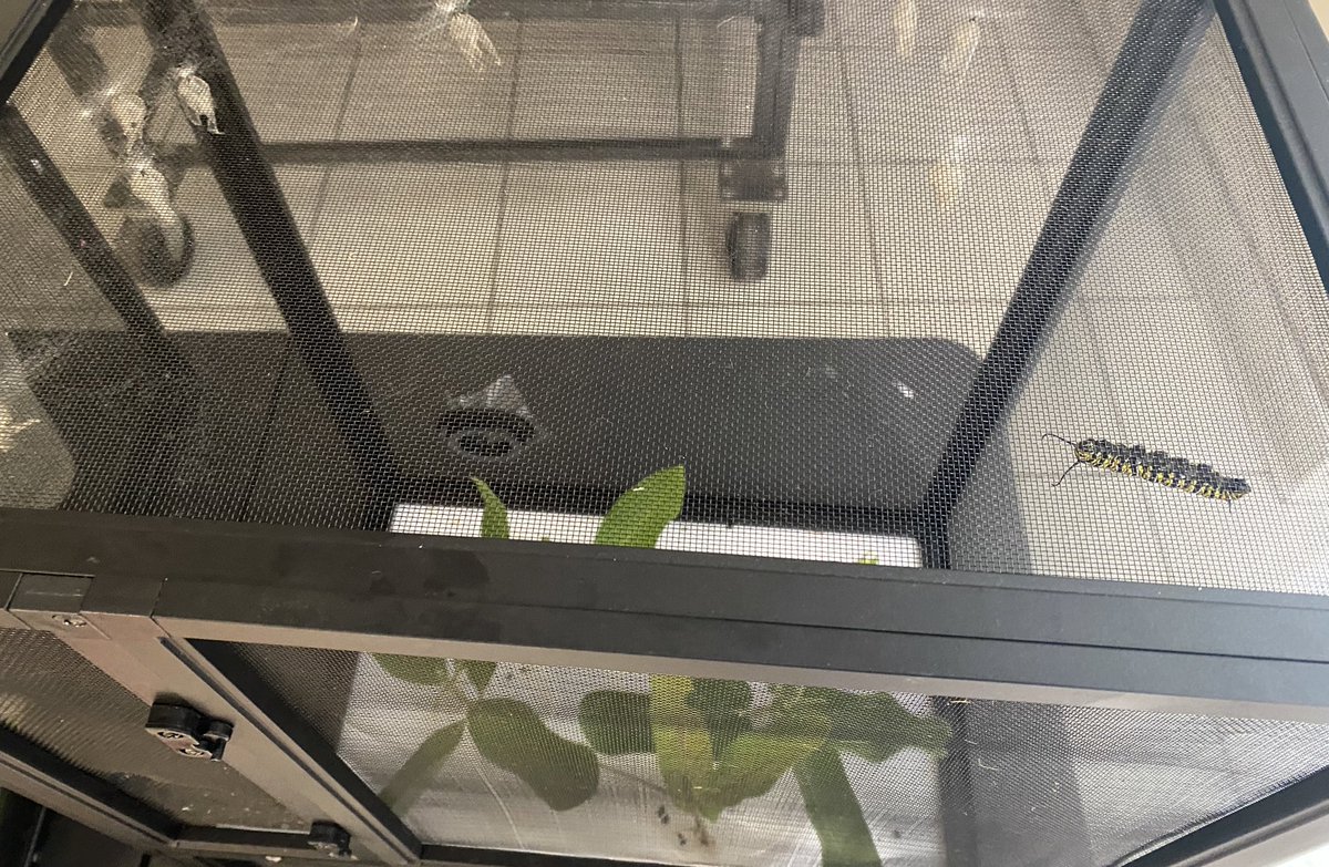 Waterville Primary tweet media