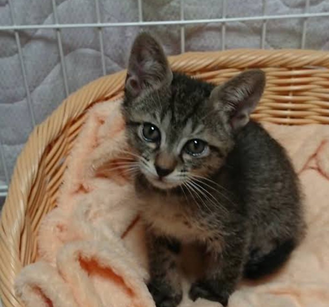 ちっちゃい頃の写真出てきた☺️