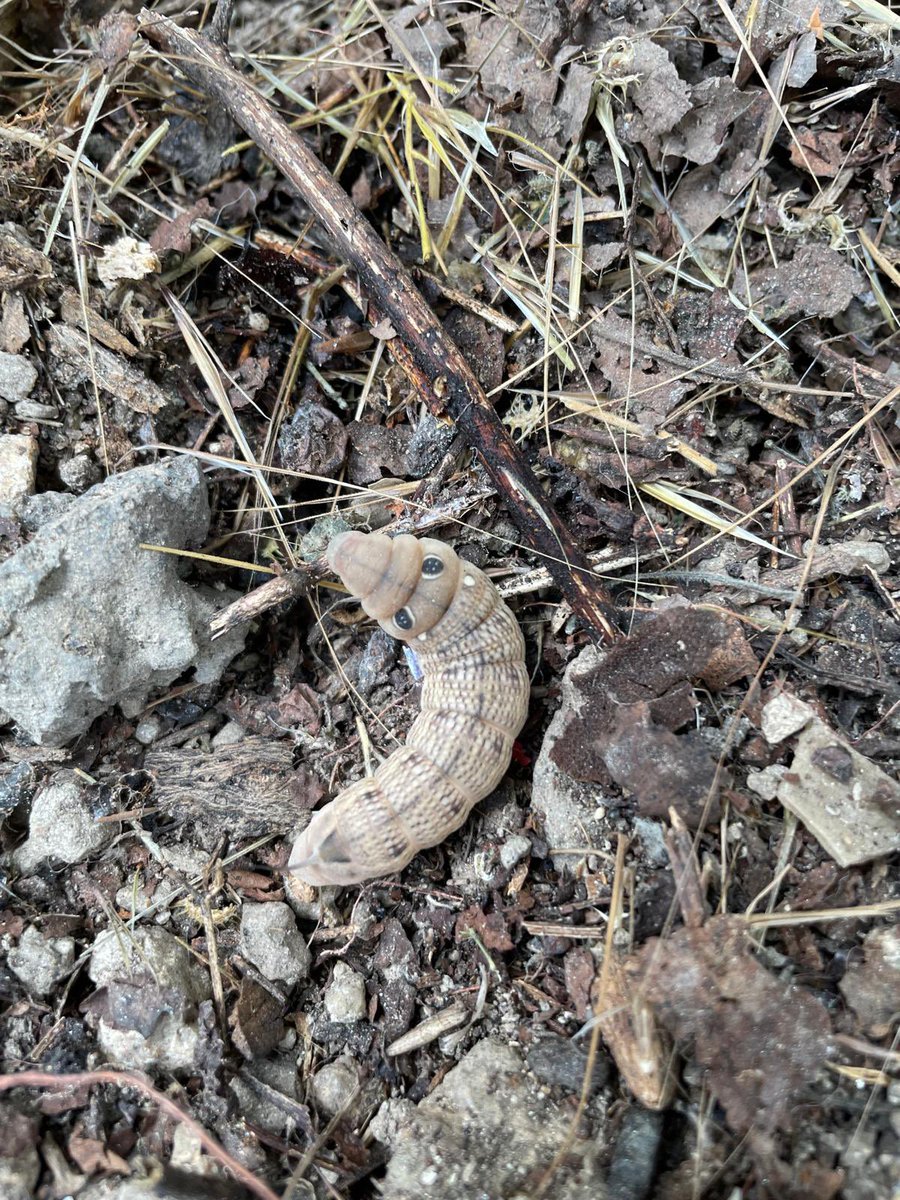 April Showerrrz 🌸 👻 tweet media