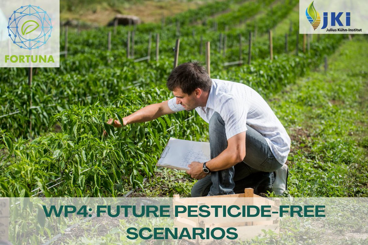 SUPPORT - Horizon Europe project (@supportipm_eu) on Twitter photo Led by <a href="/JKI_Bund/">Julius Kühn-Institut</a>, #FORTUNA WP4 aims to identify and prioritize research gaps. The goal is to create research agenda roadmaps for a pesticide-free agriculture.
Find out more ➡️ horizon-fortuna.eu/workpackages/
#HorizonEurope #FORTUNA #PesticideFree #ResearchGaps #FutureResearch Led by <a href="/JKI_Bund/">Julius Kühn-Institut</a>, #FORTUNA WP4 aims to identify and prioritize research gaps. The goal is to create research agenda roadmaps for a pesticide-free agriculture.
Find out more ➡️ horizon-fortuna.eu/workpackages/
#HorizonEurope #FORTUNA #PesticideFree #ResearchGaps #FutureResearch