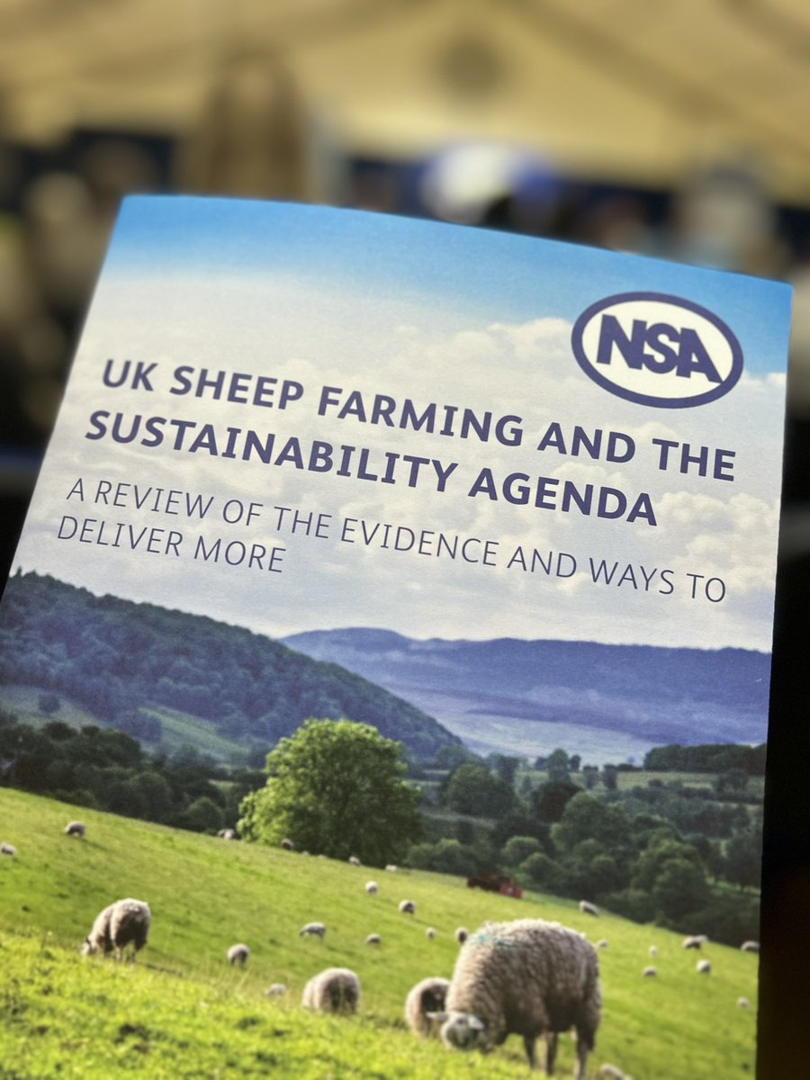 Pinstone tweet media