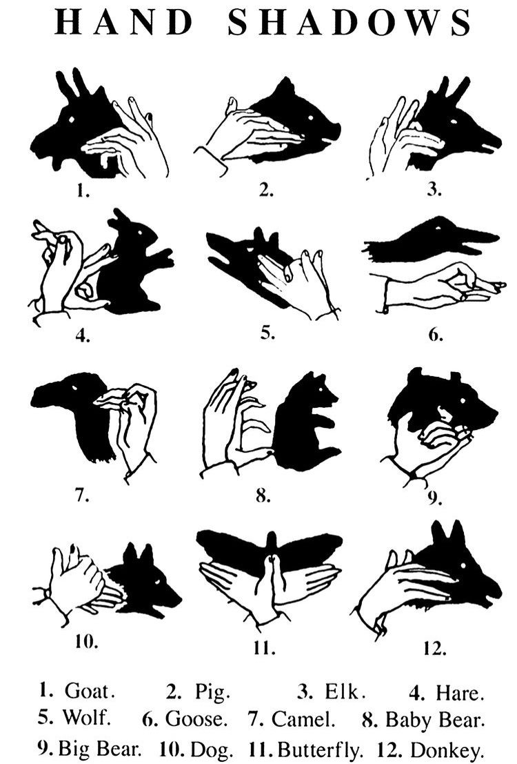 sylvie (@sylvieexox) on Twitter photo 