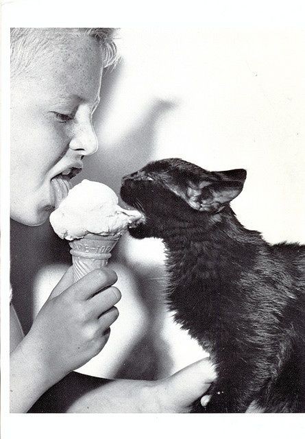 pooopiidooo's tweet photo. #ChoupiHour 

“La gourmandise commence quand on n’a plus faim.”
(Alphonse Daudet)

Belle journée à TouteZéTous 
💜💜💜

#Enjoy #LoveAndChoupi https://t.co/WuQ0NiJiN4