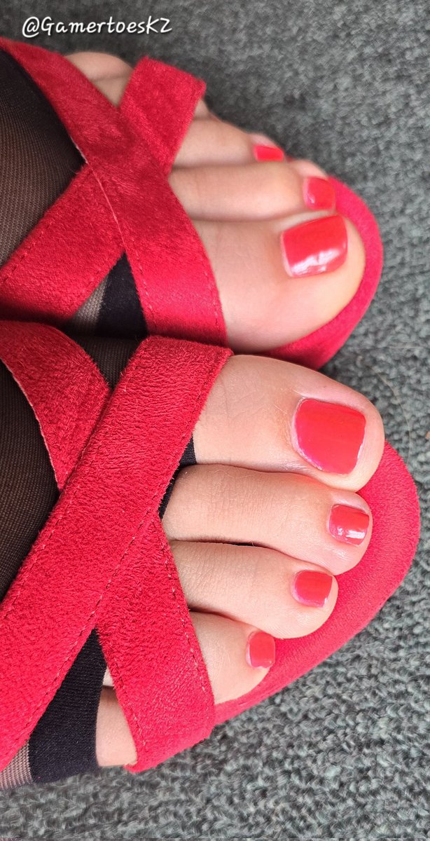 GamertoesKZ's tweet photo. Happy Toesday❤️ https://t.co/Qm7OCIZ7Bi