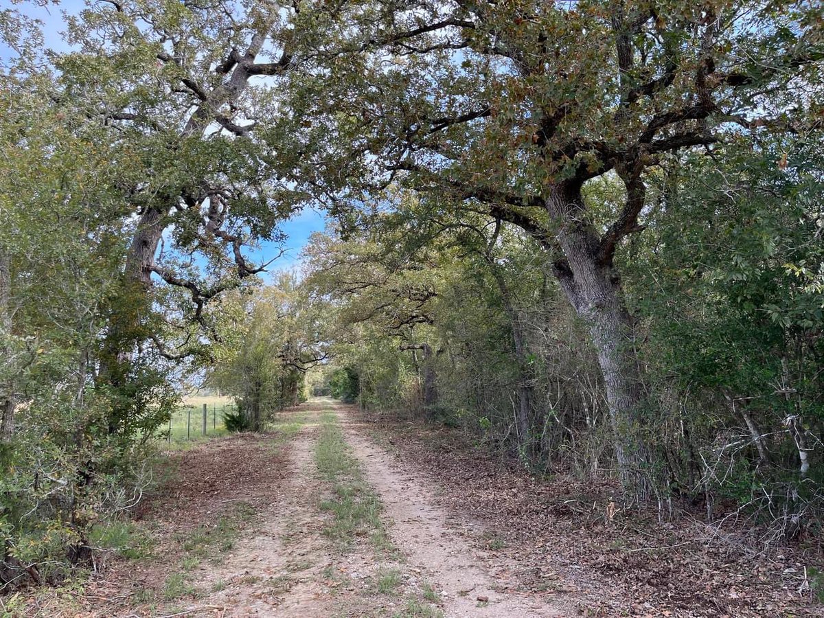 Lee county Land
Paved Road Access
Perimeter Fencing 
Large Oak Trees
No Flood Plain
Ag Exempt Taxes
25.26  Price $395,000
28.67  Price $450,000 
Call or Text for info: 979-422-3163
Note: We offer 3% to buyers agents that represent a buyer from the first showing forward