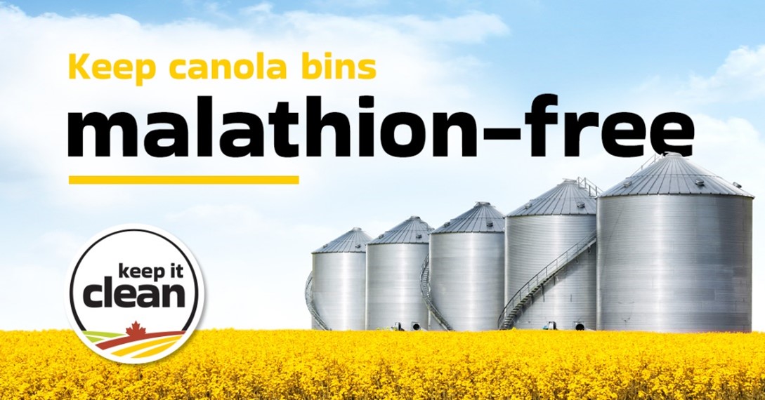 Canola Council of Canada (@canolacouncil) on Twitter photo Keep your canola ready for market. Ensure any bins intended for #canola storage remain malathion-free. Malathion residues can transfer to canola and put your crop's marketability at risk.
Learn more on the <a href="/KICCanada/">Keep it Clean</a> website: keepitclean.ca/5-tips/storage…
#CdnAg #Grow24 Keep your canola ready for market. Ensure any bins intended for #canola storage remain malathion-free. Malathion residues can transfer to canola and put your crop's marketability at risk.
Learn more on the <a href="/KICCanada/">Keep it Clean</a> website: keepitclean.ca/5-tips/storage…
#CdnAg #Grow24