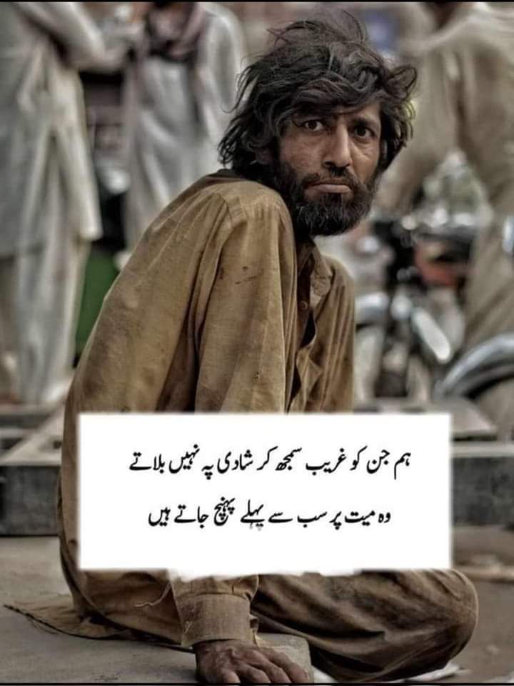 تلخ حقیقت