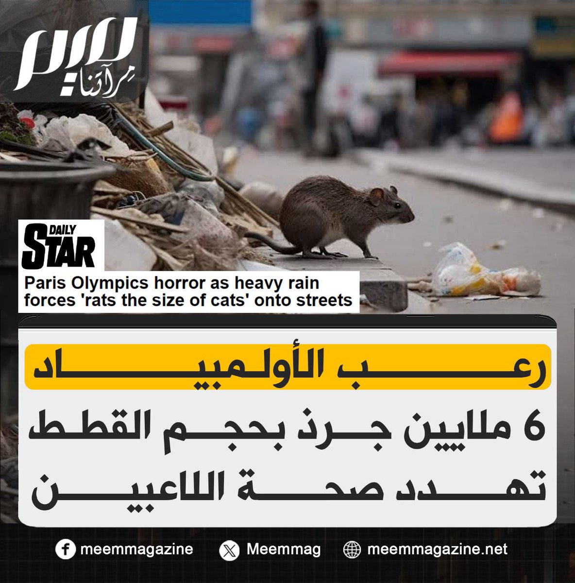 "أمطار #باريس الغزيرة دفعت بـ6 ملايين جرذ بحجم القطط للخروج من المجاري إلى الشوارع، مثيرة قلق اللاعبين والمشجعين من داء البريميات الذي يتـ.ـلف الكبد والكلى".. أولمبياد الجرذان يتحول إلى فضيحة في الصحف العالمية.

ما تعليقكم؟