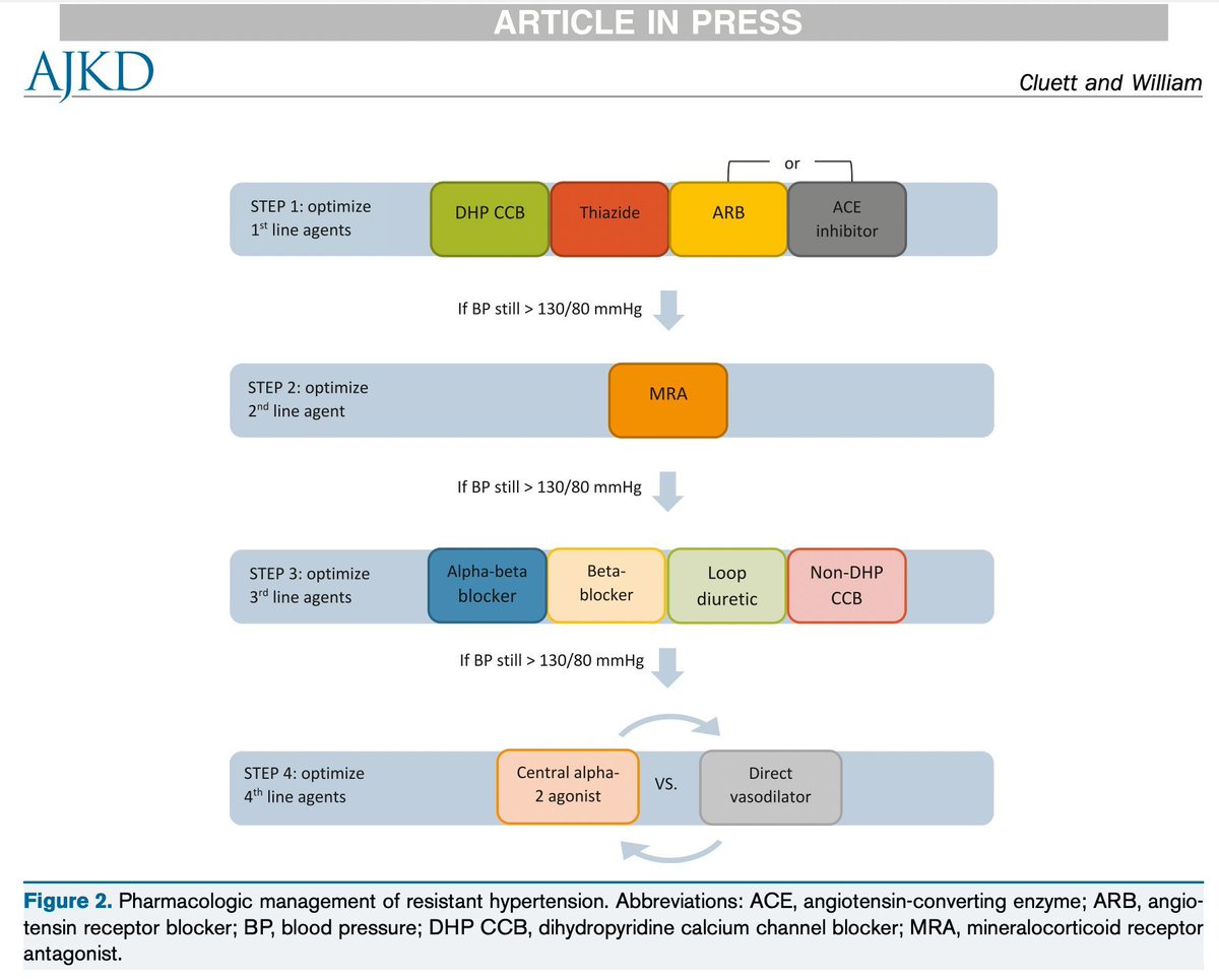 AJKD (@ajkdonline) on Twitter photo Evaluation and Management of Resistant Hypertension: Core Curriculum 2024
buff.ly/4dn3BkI (FREE)
<a href="/jenniferlcluett/">Jennifer Cluett, MD</a> <a href="/jwilliamMD/">Jeffrey William</a> <a href="/BID_NephFellows/">BIDMC Nephrology Fellowship</a> @BIDMCHealth Evaluation and Management of Resistant Hypertension: Core Curriculum 2024
buff.ly/4dn3BkI (FREE)
<a href="/jenniferlcluett/">Jennifer Cluett, MD</a> <a href="/jwilliamMD/">Jeffrey William</a> <a href="/BID_NephFellows/">BIDMC Nephrology Fellowship</a> @BIDMCHealth