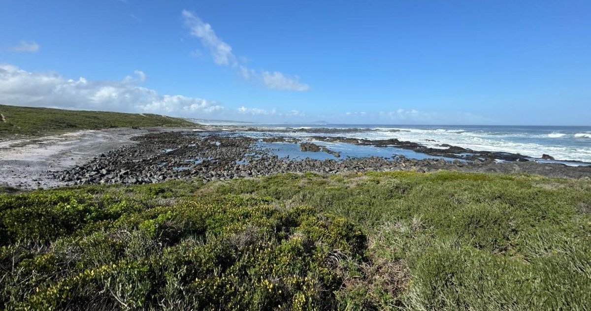 SpringfonteinE's tweet image. End your day with the serene beauty of Pebble Bay at Springfontein Estate. Discover the ancient sea traps and their history in our blog: l8r.it/KXeh 
🌅 #SpringfonteinEstate #PebbleBay #AncientHistory