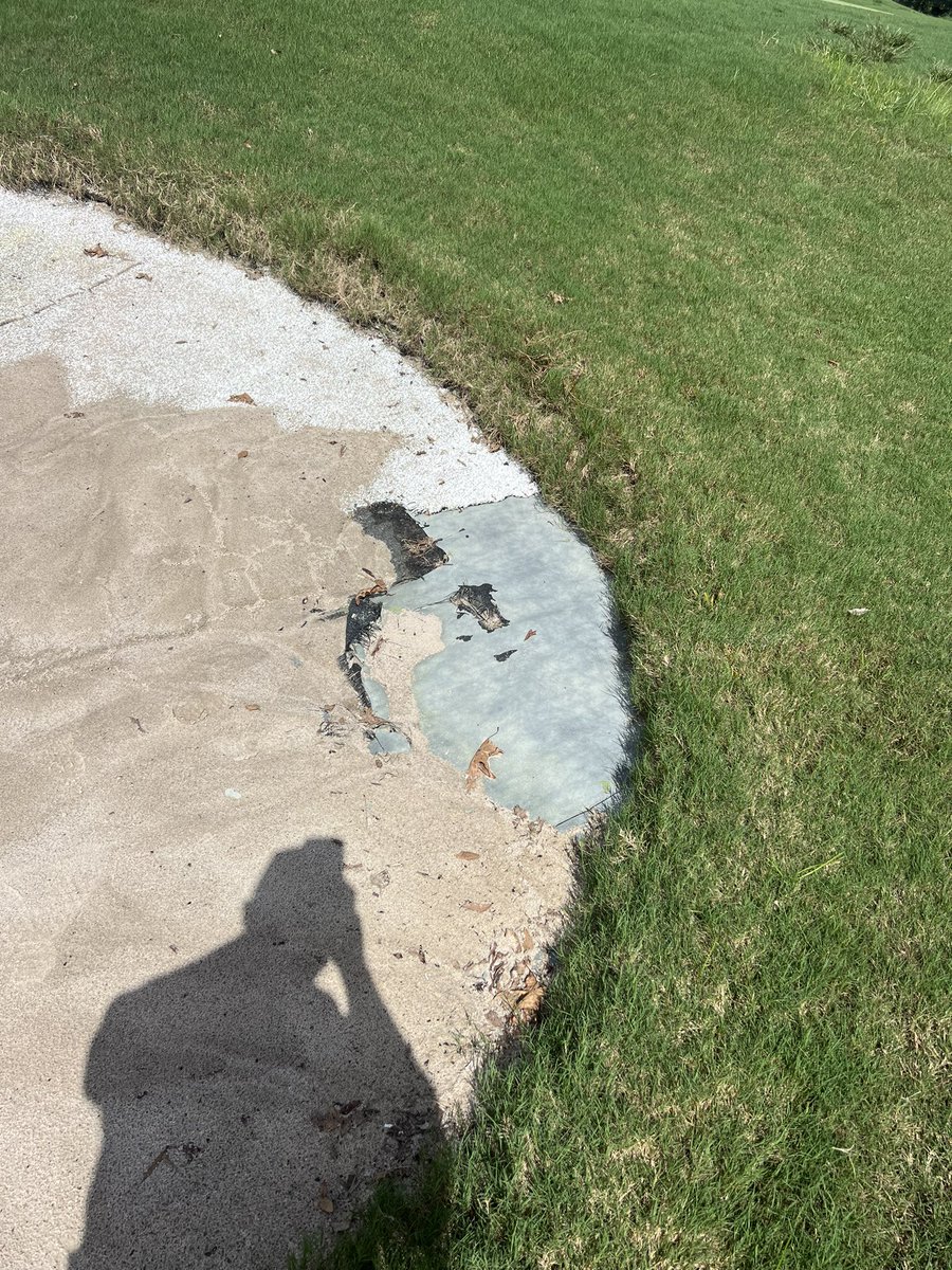 Brandon Zerface tweet media