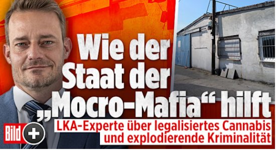 David75Pink's tweet image. Es werden immer Polizeigewerkschafter (#WerteUnion) gefragt, nie richtige Polizisten! 
Komisch, wenn man da fragt, bekommt man eine ganz andere Meinung zu hören! 
Das was die @Bild-Zeitung da macht nennt sich #Falschmeldung oder #Fakenews
#Pressekodex #Legalisierung #MocroMerz