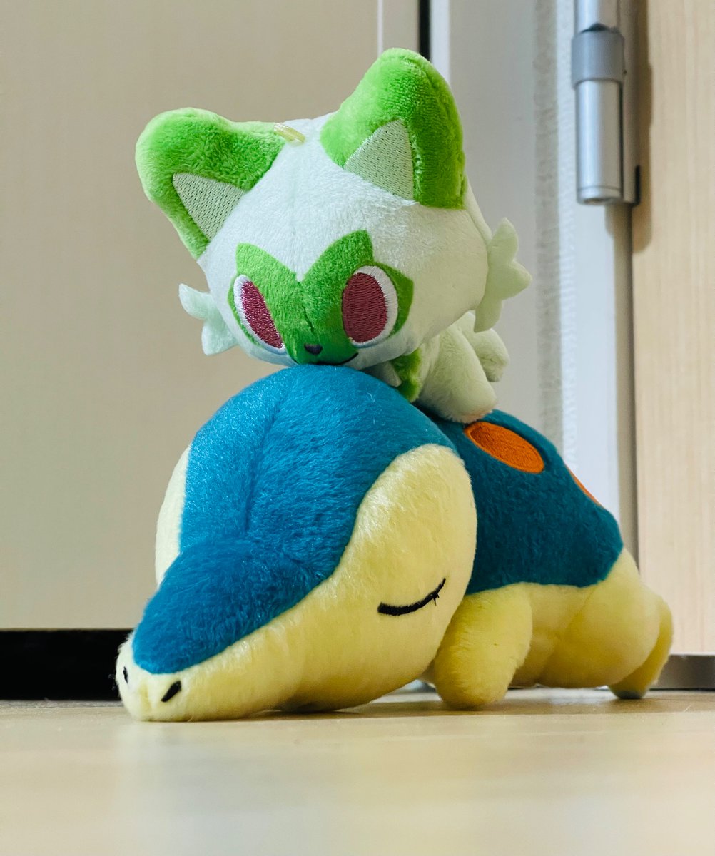 real_cyndaquil_'s tweet image. 