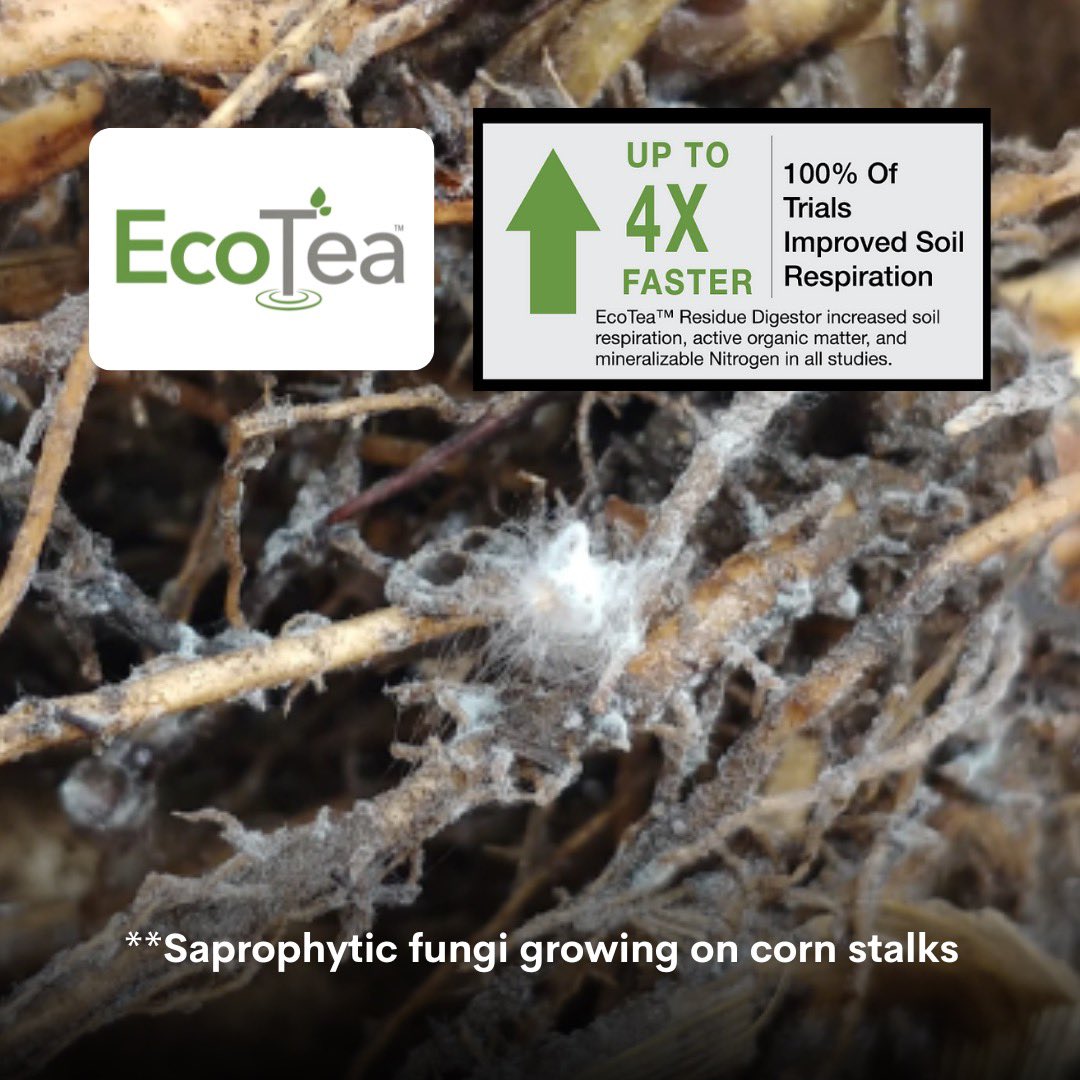 EcoTea™ HDI Residue Digester carries a broad spectrum of fungal, saprophytic species that feed on dead, decaying, high organic carbon food sources and recycle the nutrients into the soil.

During 100% of trials, our Residue Digester increased soil respiration… (1/2)