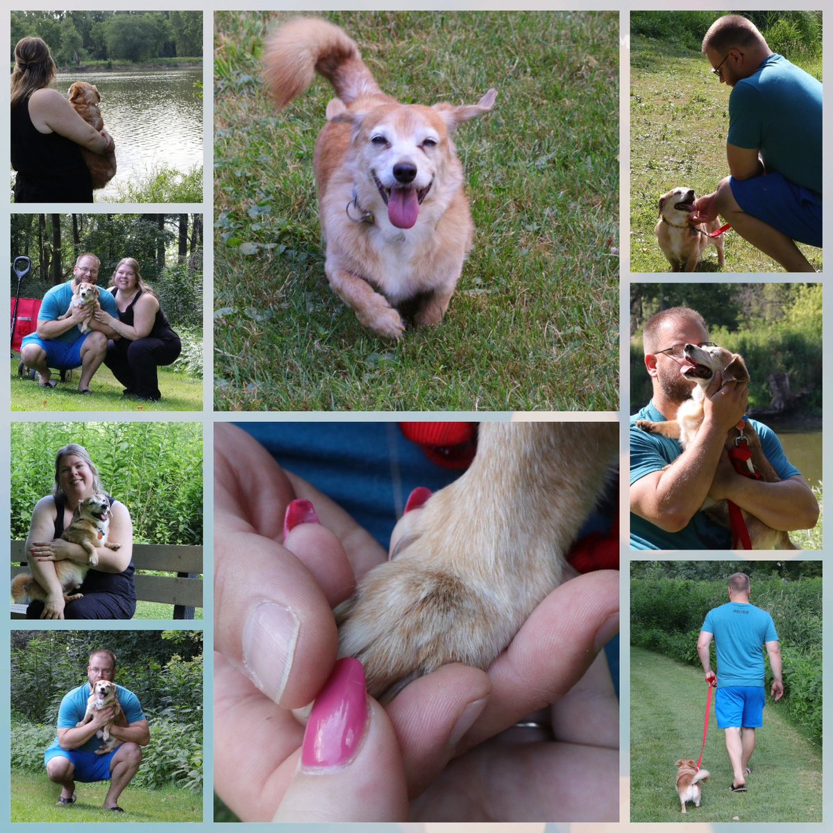 Tim Clagg 💡🎥🎬 tweet media