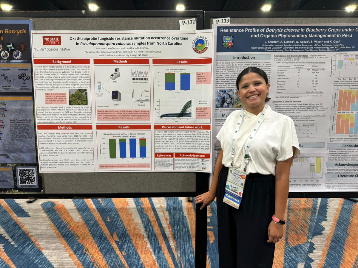 Mariana Prieto Torres (@mprietotorres) on Twitter photo Come by poster 232 today at 4:00pm to learn more about our research in fungicide resistance and cucurbit downy mildew! <a href="/QuesadaLabNCSU/">NC State Veggie Pathology</a> <a href="/NCSU_DEPP/">NCSU Entomology & Plant Pathology</a> <a href="/NC_PSI/">N.C. Plant Sciences Initiative</a> Come by poster 232 today at 4:00pm to learn more about our research in fungicide resistance and cucurbit downy mildew! <a href="/QuesadaLabNCSU/">NC State Veggie Pathology</a> <a href="/NCSU_DEPP/">NCSU Entomology & Plant Pathology</a> <a href="/NC_PSI/">N.C. Plant Sciences Initiative</a>