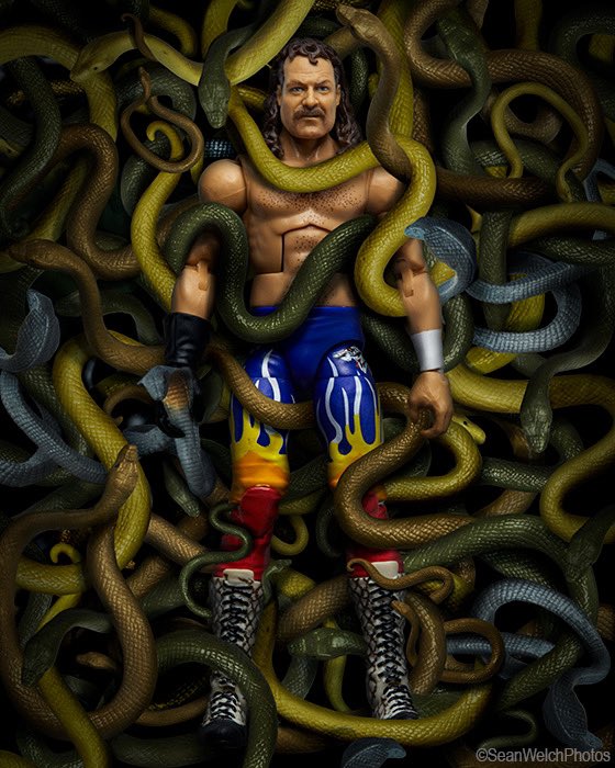 The Snake Pit <a href="/JakeSnakeDDT/">Jake “The Snake” Roberts</a> #Jakethesnake #WWEEliteSquad #mattel