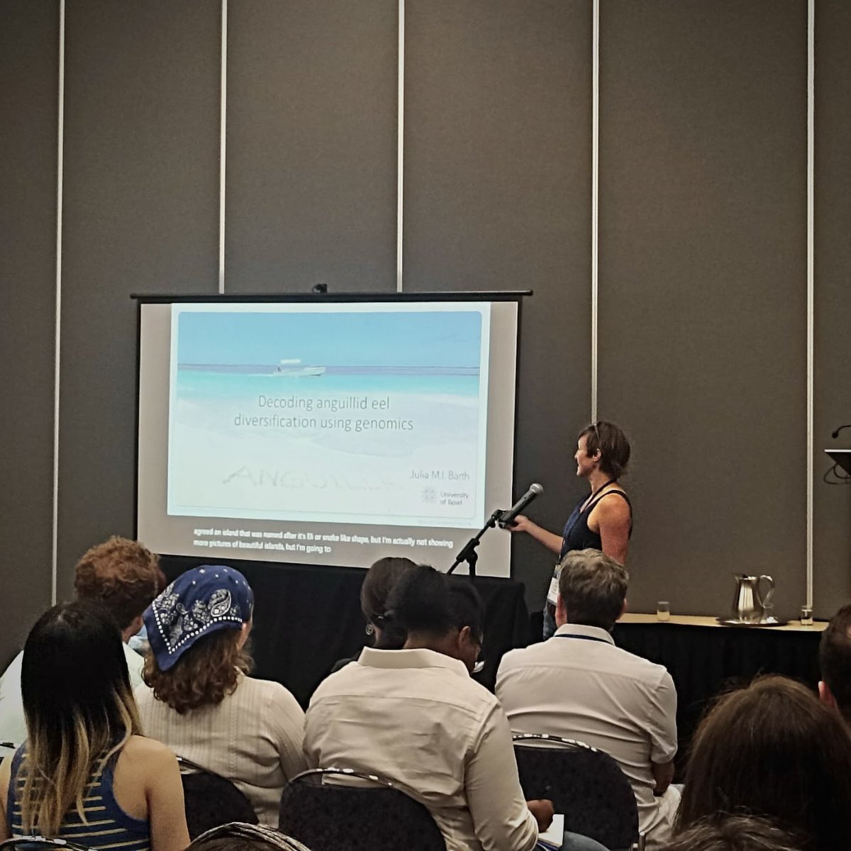 I am very happy about the positive feedback on our eel genomics study presented at #Evol2024 ☺️ Thank you all for the motivating words that help so much to continue this research!