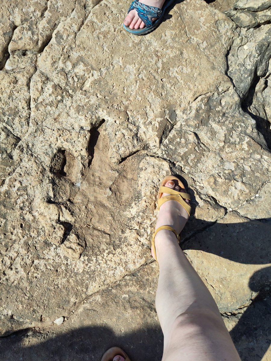 As an Archaeologist I'm not supposed to be excited about this but... OMG DINOSAURS!!!!!