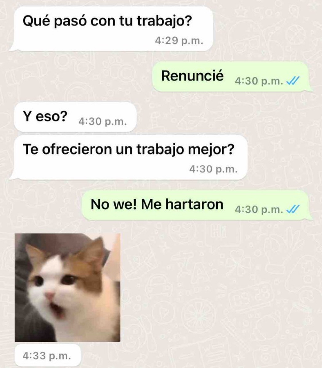 Guarromantico_'s tweet photo. Godínez casos de la vida real. https://t.co/W1JPk9Exwy