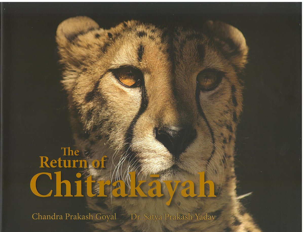 C P Goyal (@goyalcp) on Twitter photo Proceeds of ₹11 lakhs from the book "The Return of Chitrakayah" authored by me and <a href="/SPYadavIFS/">SP Yadav</a> were donated to the Tiger Conservation Fund <a href="/ntca_india/">National Tiger Conservation Authority</a>. Cheetah’s return is a testimony to India’s commitment to ecological restoration and empathy for all fellow species. <a href="/moefcc/">MoEF&CC</a> Proceeds of ₹11 lakhs from the book "The Return of Chitrakayah" authored by me and <a href="/SPYadavIFS/">SP Yadav</a> were donated to the Tiger Conservation Fund <a href="/ntca_india/">National Tiger Conservation Authority</a>. Cheetah’s return is a testimony to India’s commitment to ecological restoration and empathy for all fellow species. <a href="/moefcc/">MoEF&CC</a>