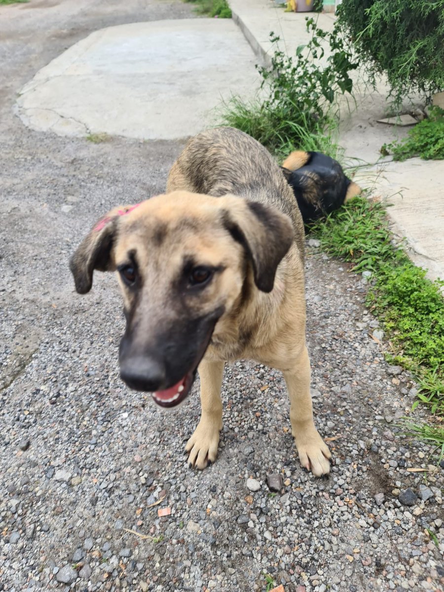 Luna®🌛 (es mas sencillo) 🇲🇽 tweet media