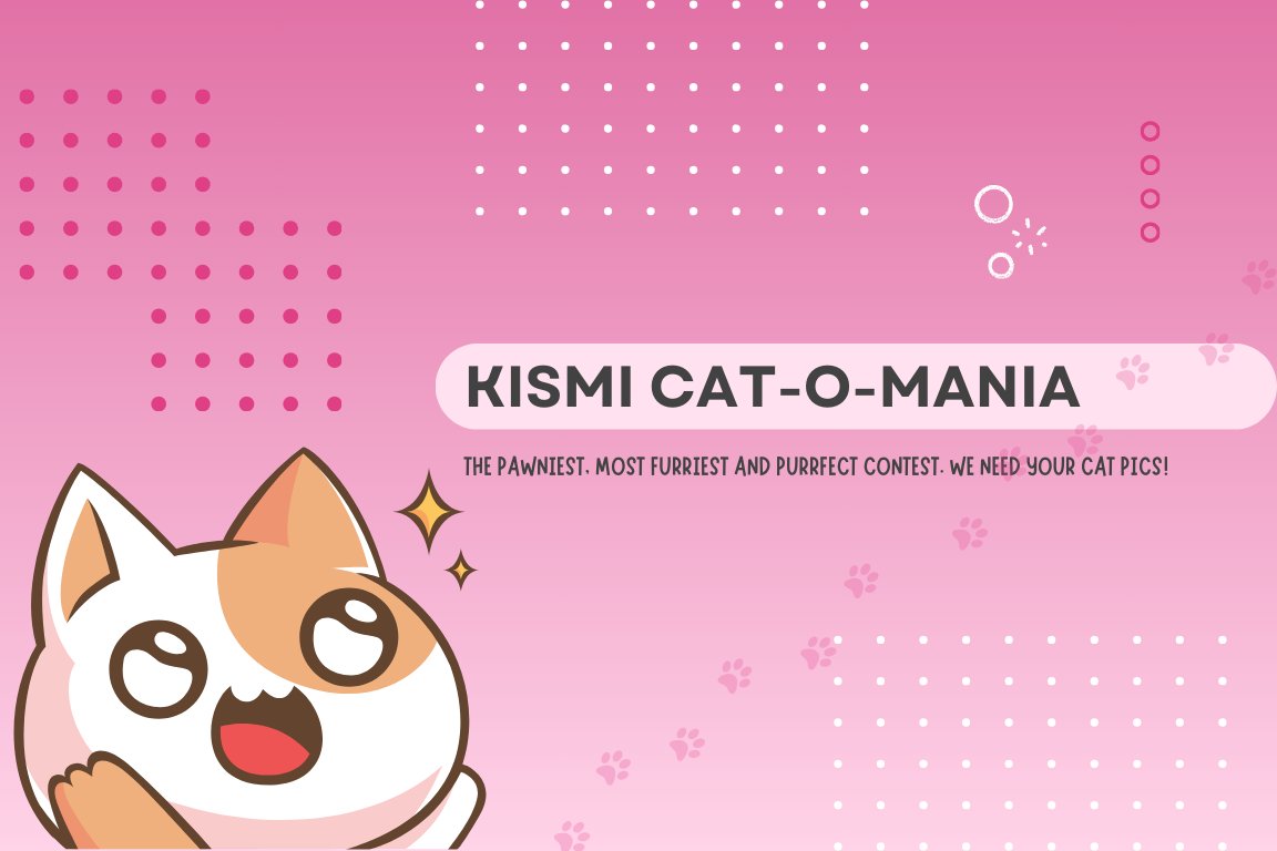 KISMI CAT-O-MANIA! 🐾
Who loves cats? Everyone loves cats.
Do you have your favorite cat photo? Sure you do!
Want a fluffy portion of KISS'es sent for your kitty?
Details to participate: t.me/kismiapp_chat/…
Whos paws are ready to tap that KISS button:
kismi.app/round/3LXQXZQM…