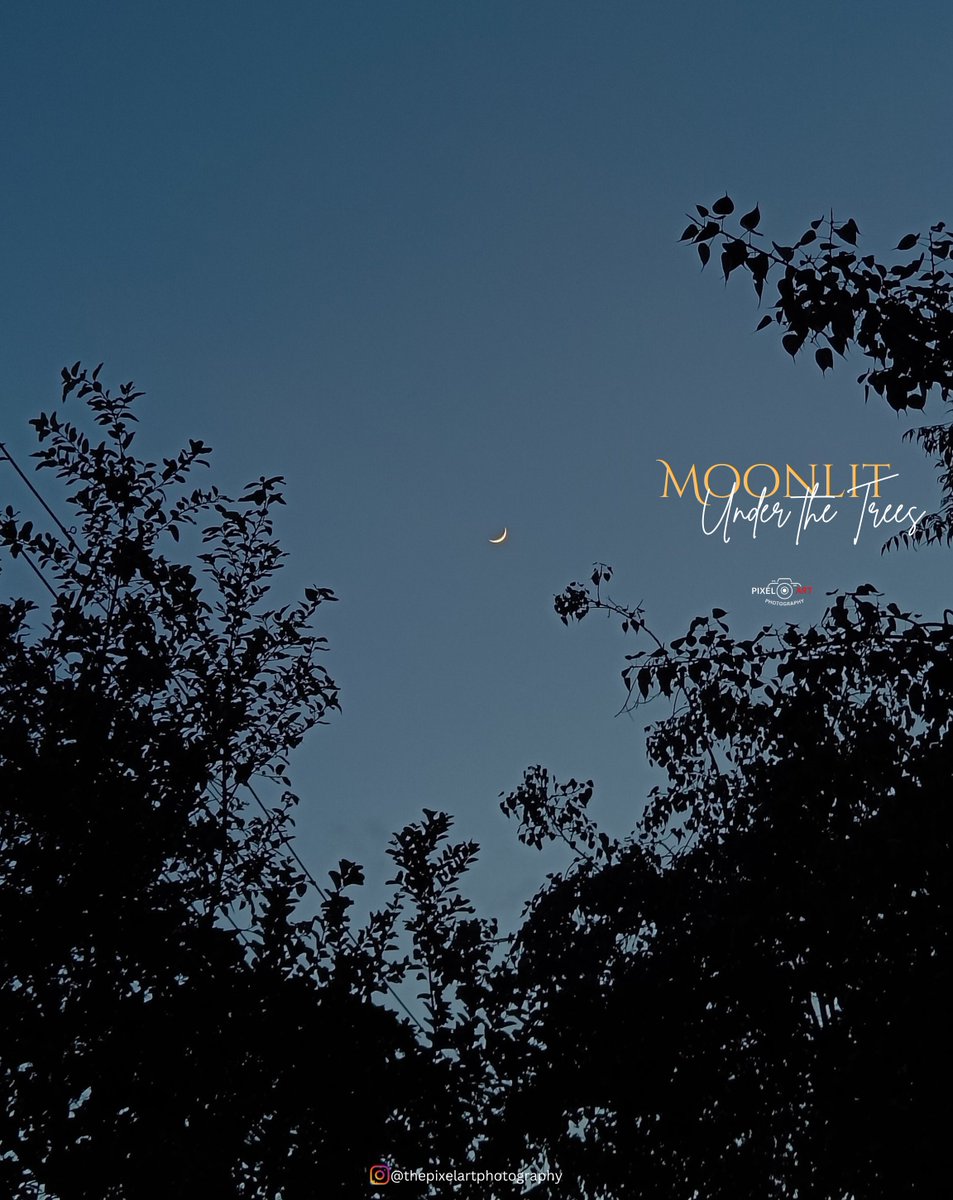 thepixelartfoto's tweet photo. Embrace the magic of the nights with PixelArtPhotography!🌙🌳

For bookings : +918602119460
Follow Us: @thepixelartfoto
#Photography2024 #thepixelartphotography #StreetPhotography #StreetPhotographer #NightPhotographer #EveningSkies #BeautifulMoments #TravelAndCapture #Nature https://t.co/ecbDRu4I4Z