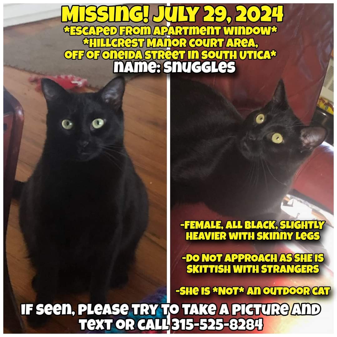 Ken Smith tweet media