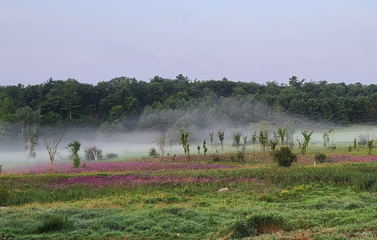 Beautiful morning.#Ruralwisconsin