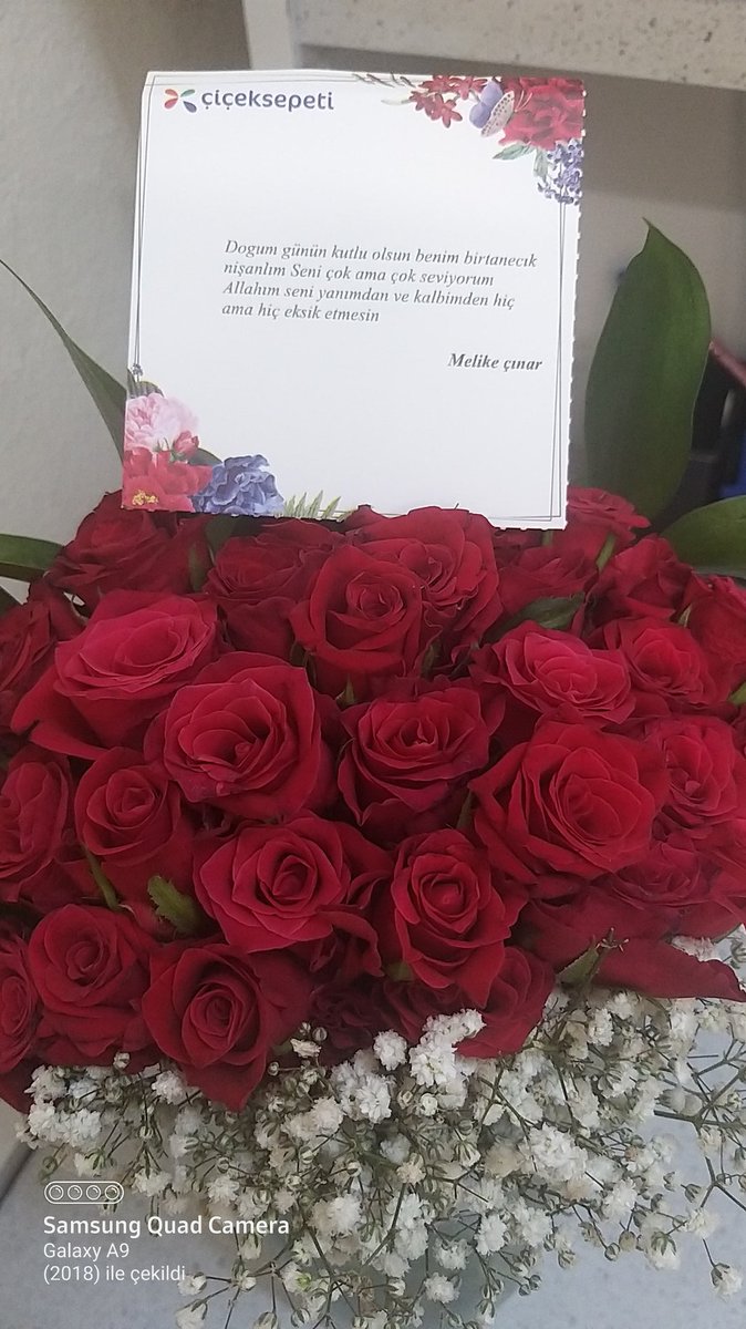 Bak,GÜL mevsimi geldi
Mevsimlerden GÜL'ü severim
Sonra Seni
Sonra yine Seni
Ve hep SENİ...
M💙S
<a href="/Melike1925613/">Melike</a>