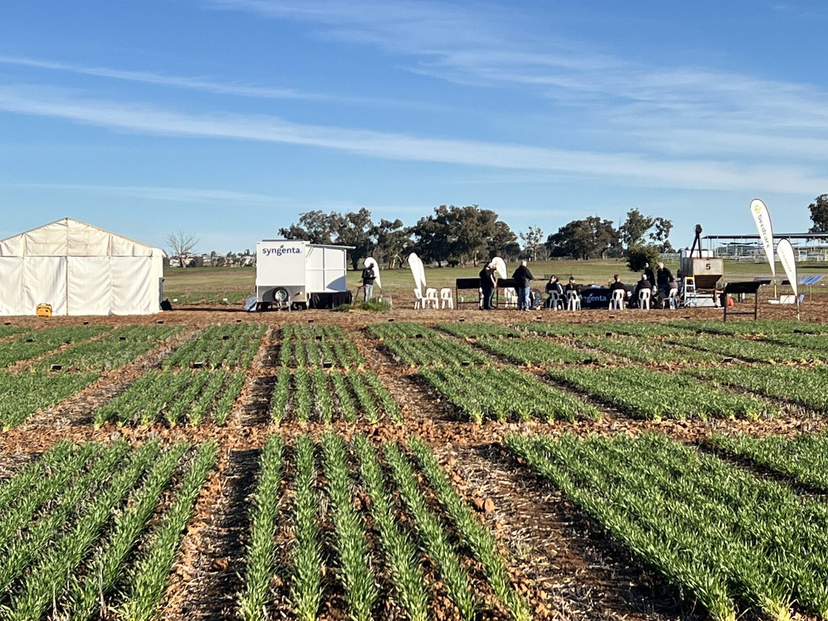 Great to have the <a href="/SyngentaANZ/">Syngenta ANZ</a> Broadacre team together again this week at our Wagga Wagga Learning Centre. Always lots to see and learn about!