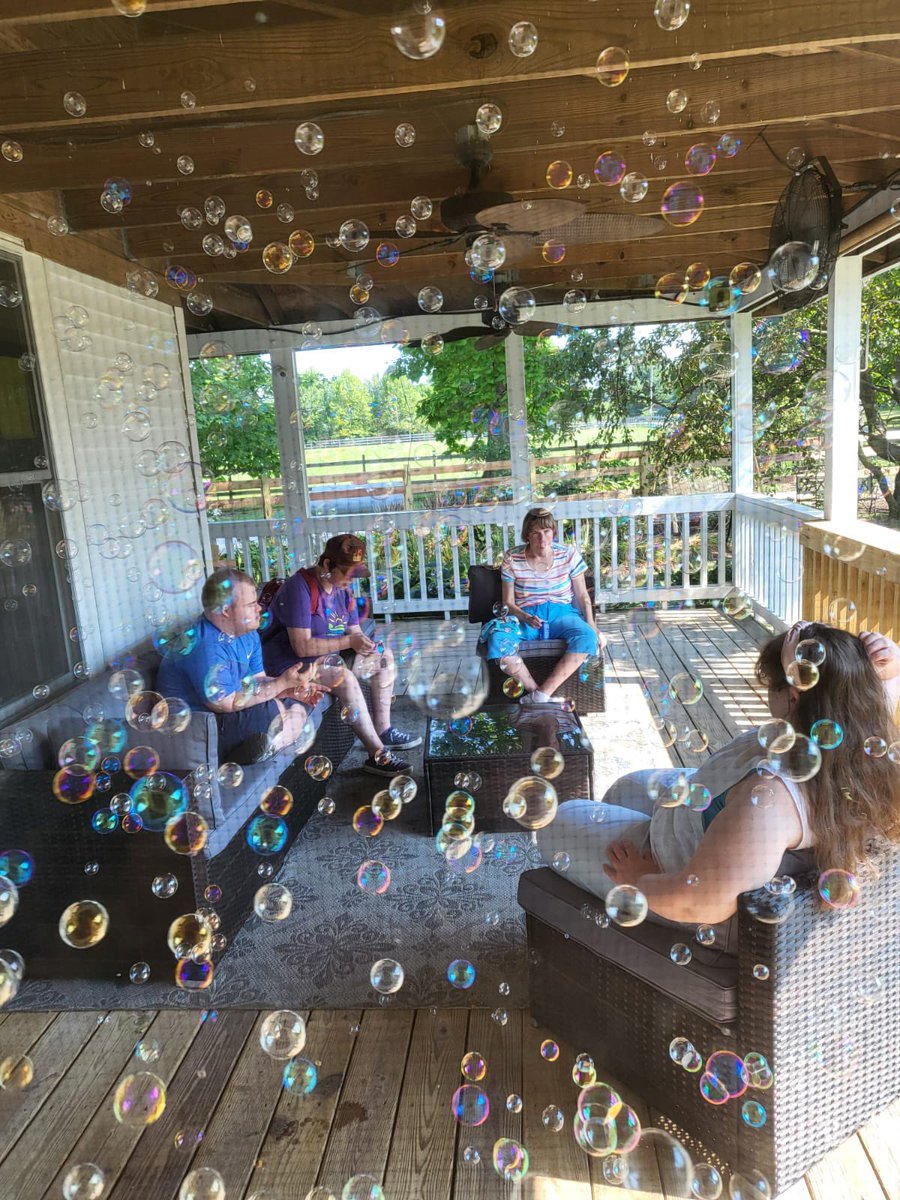 Dreamshine tweet media