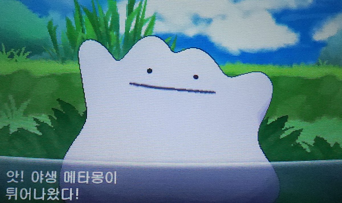 아 그래 맞아 이런 데가 있었지
하고 세 걸음 걸었더니 메타몽 나와서 쓰러짐