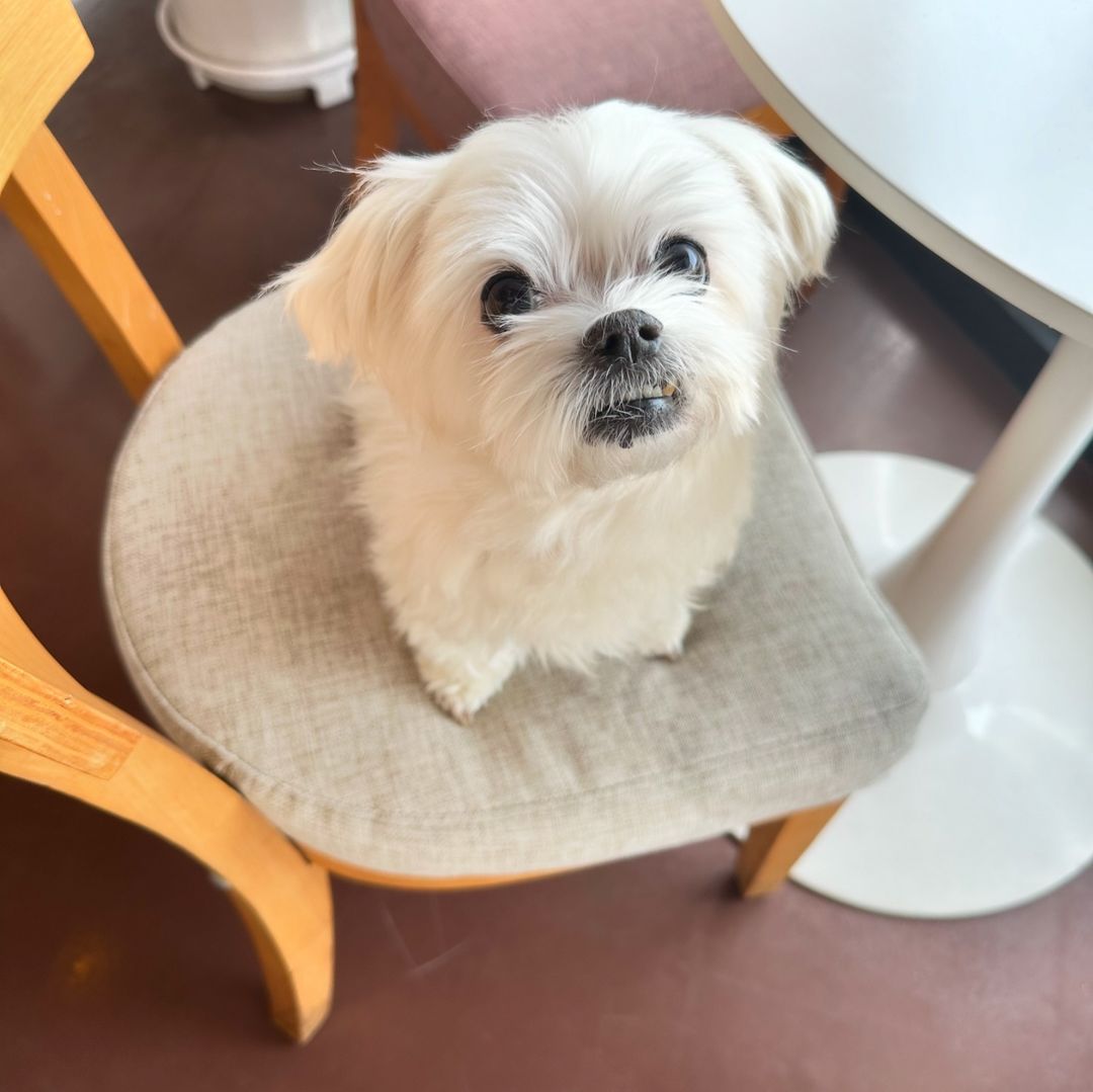 Minjun Brasil 🐰 tweet media