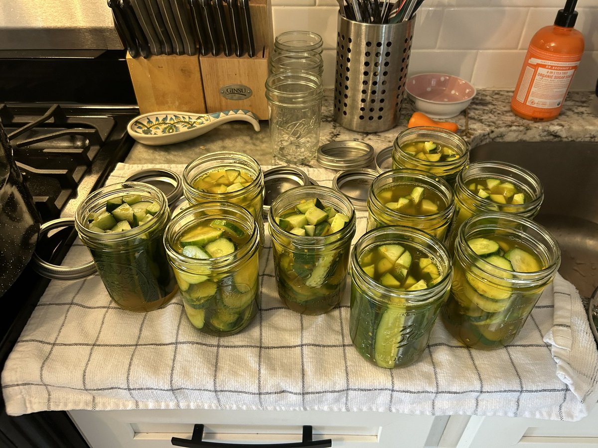 crocus_pocus_'s tweet photo. Wow, late summer. Lots of extra curriculars on the docket this year, not much time for gardening unfortunately. Second year in a row I had to rip out my tomatoes due to a soil blight of some kind. Summer has been highlighted by scores of local produce and lovely country drives https://t.co/RWZsF6uAcr