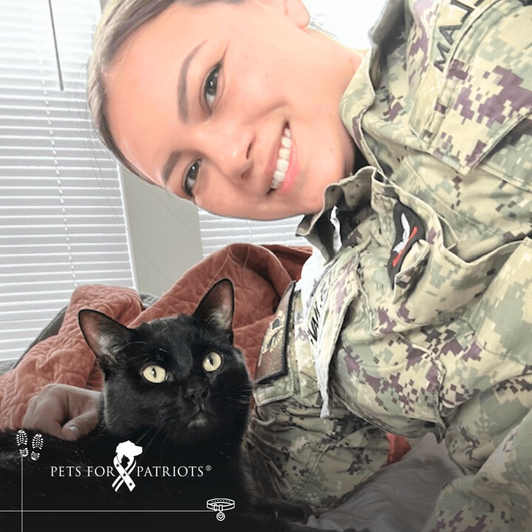 Pets for Patriots tweet media