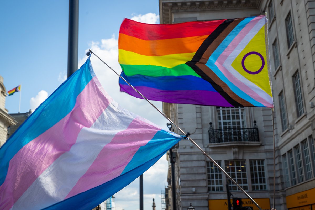 zefrographica 📸 🏳️‍🌈 tweet media